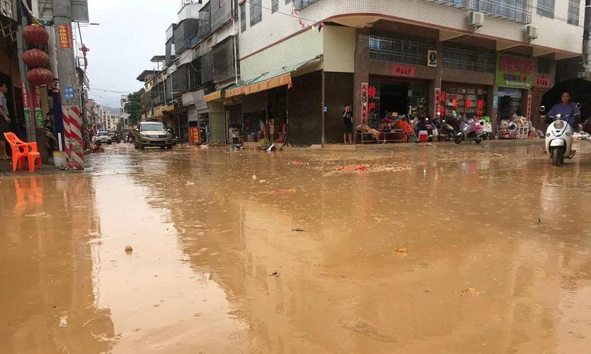 广东连日暴雨 蟑螂集体“搬家”