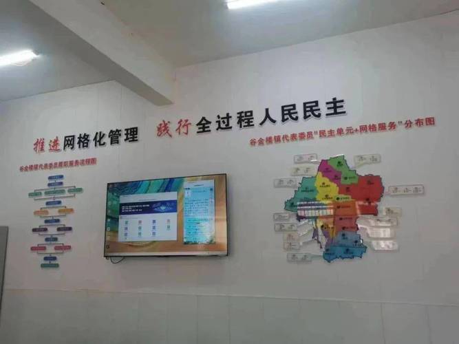 311万条建议里承载怎样的民主实践