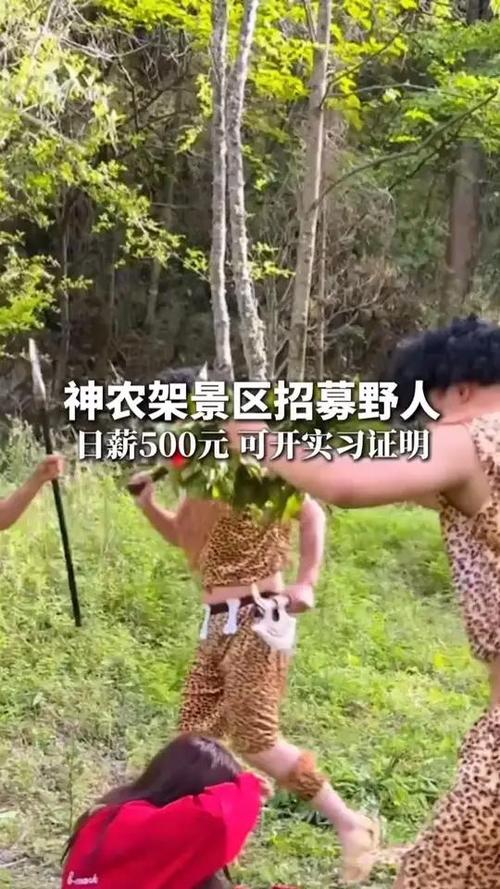 景区300元一天招大学生兼职“野人”