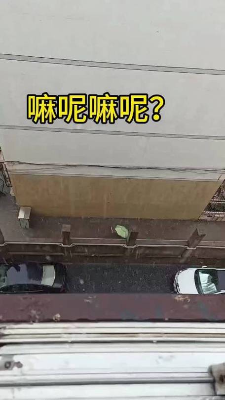 男子砸墙向隔壁小区泄洪 警方介入