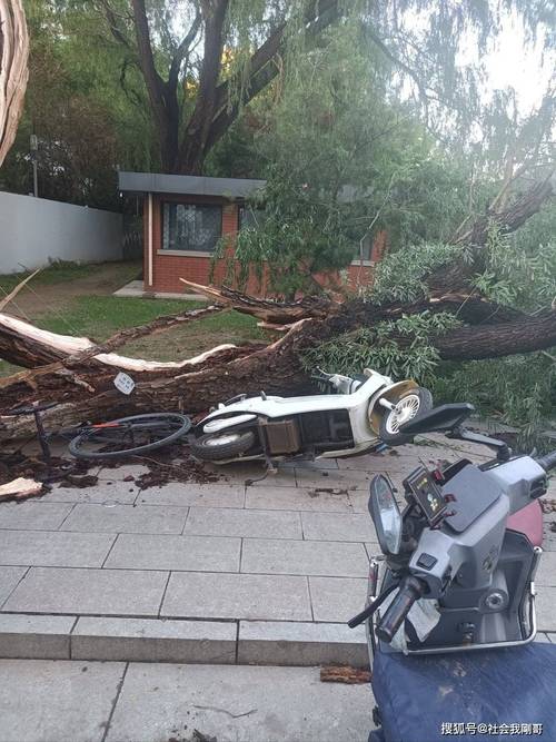 甘肃榆中县暴雨过后 路面上一片狼藉