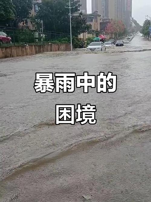 甘肃榆中县暴雨过后 路面上一片狼藉