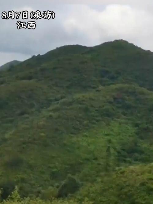 80多头牛失踪20多头俩月后寻见