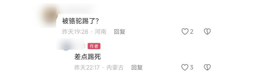 骆驼受惊将母子摔下驼背 军医施救