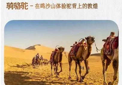 骆驼受惊将母子摔下驼背 军医施救