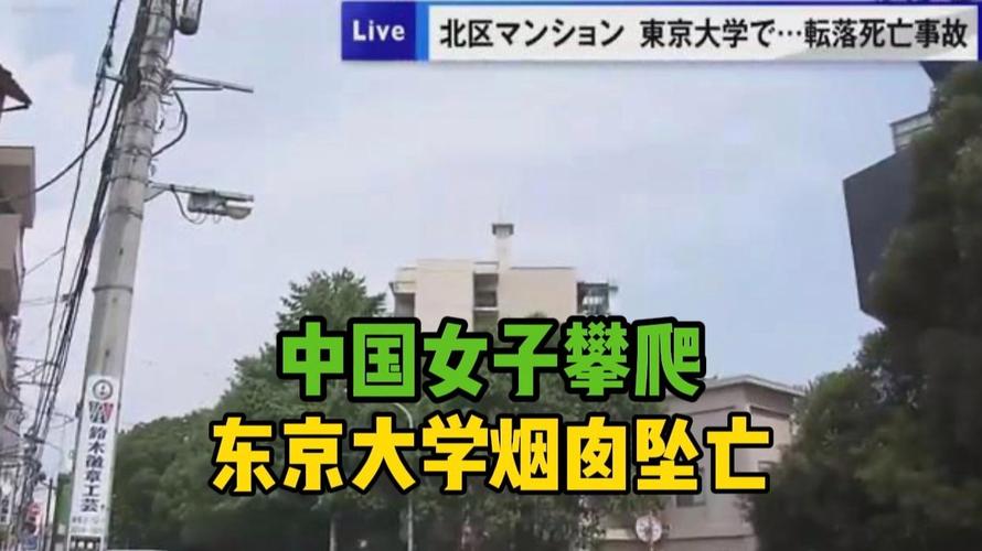 女子在东京大学烟囱坠亡 友人发声