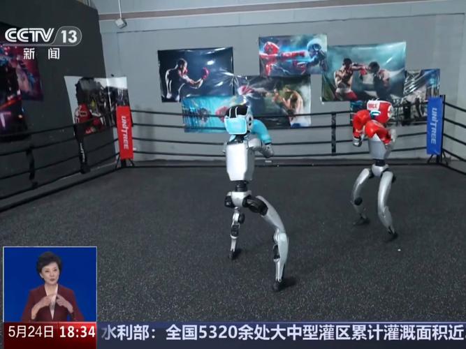 拳击机器人现场打醉拳