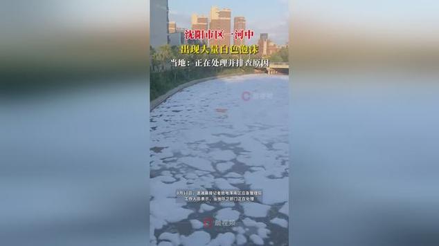 沈阳一河流现大量泡沫 官方已立案