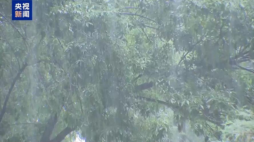 气象专家分析8月下旬天气形势