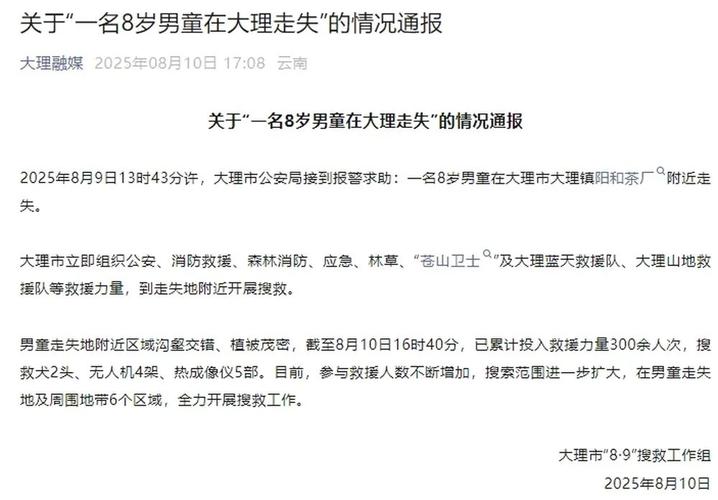 官方通报搜救大理走失8岁男童进度