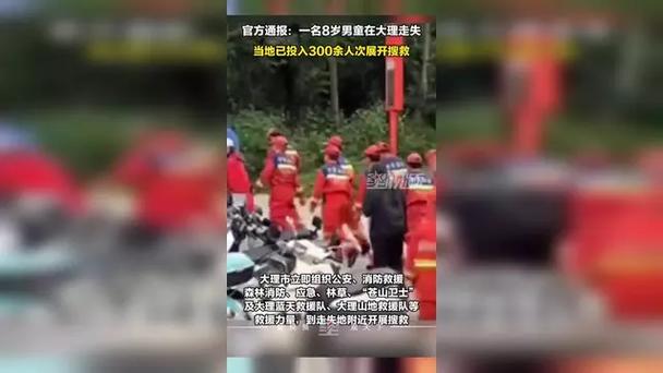 官方通报搜救大理走失8岁男童进度