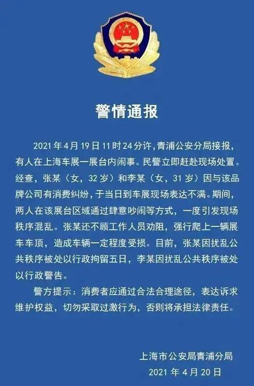 特斯拉司机持刀伤人？男子造谣被拘