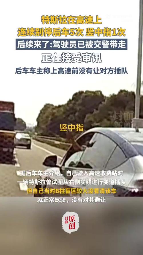 特斯拉司机持刀伤人？男子造谣被拘