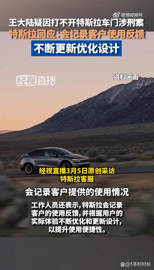 特斯拉司机持刀伤人？男子造谣被拘