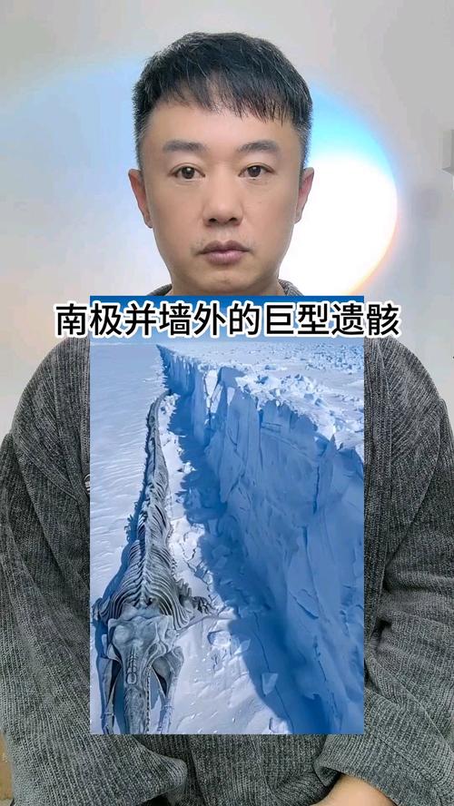 南极发现一具冰封66年遗骸
