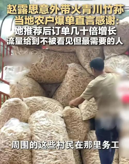 赵露思助农被质疑玩套路
