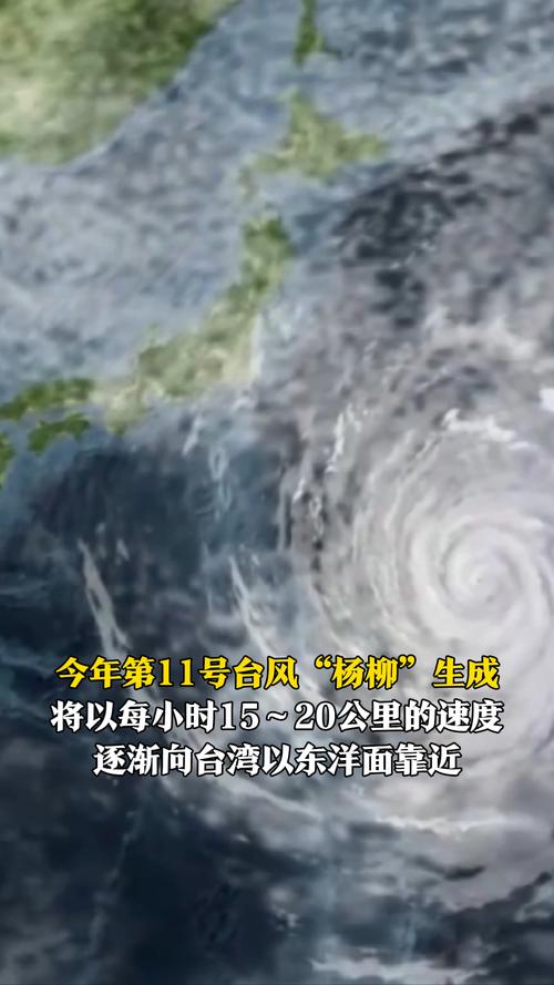 台风“杨柳”登陆台湾台东