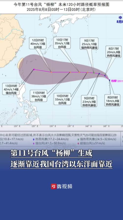 台风“杨柳”登陆台湾台东