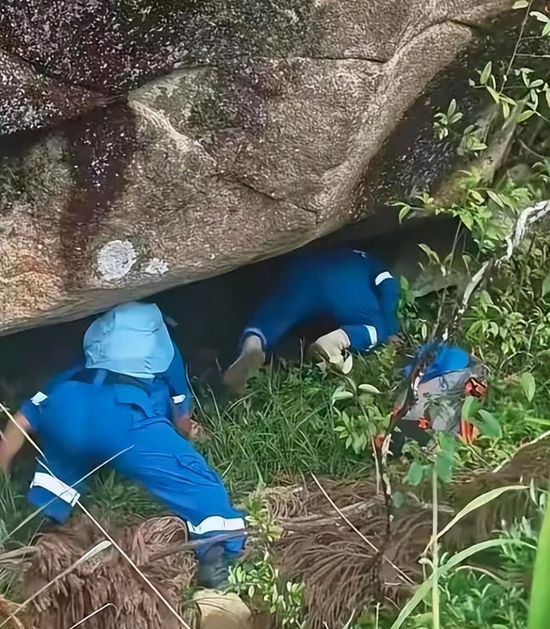走失男童遗体在一处山涧被发现