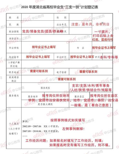 向市长递简历大学生考上三支一扶