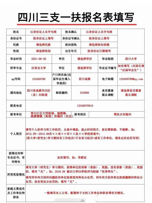 向市长递简历大学生考上三支一扶