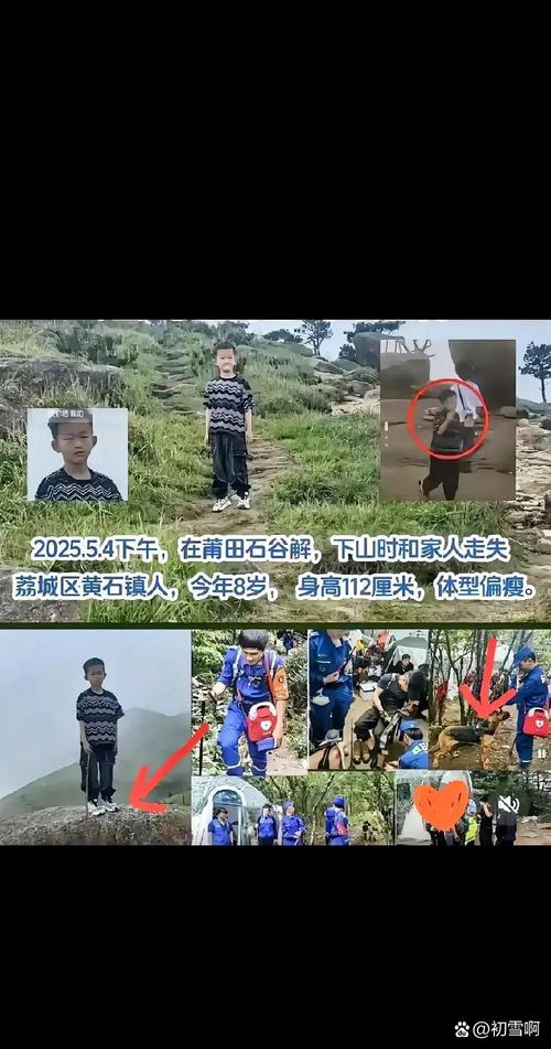大理通报“8岁男童在苍山走失遇难”