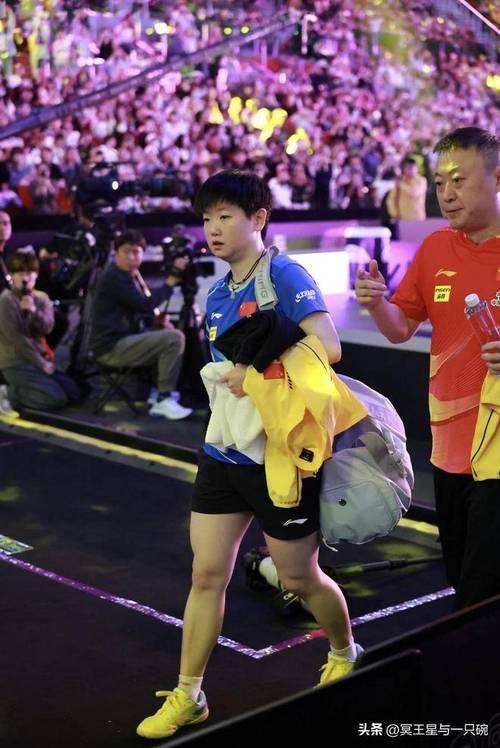 国乒出发瑞典大满贯