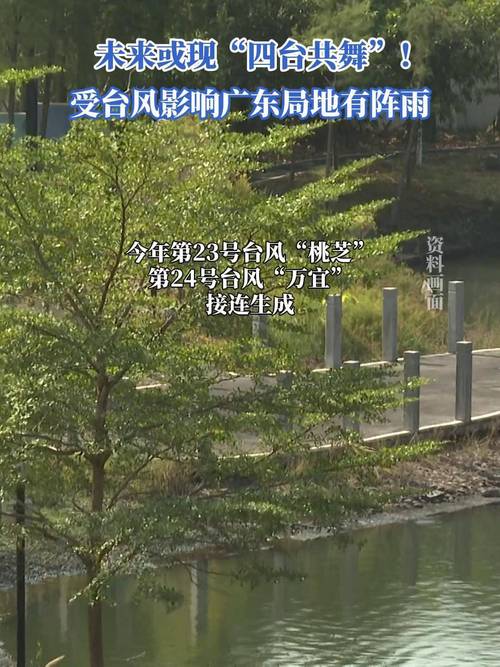 防御台风“杨柳”广东转移超10万人