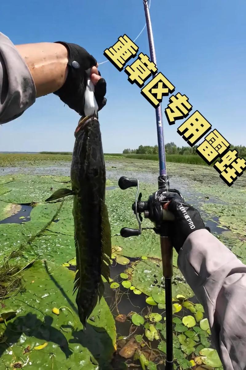 雷蛙如何组装电脑桌面上