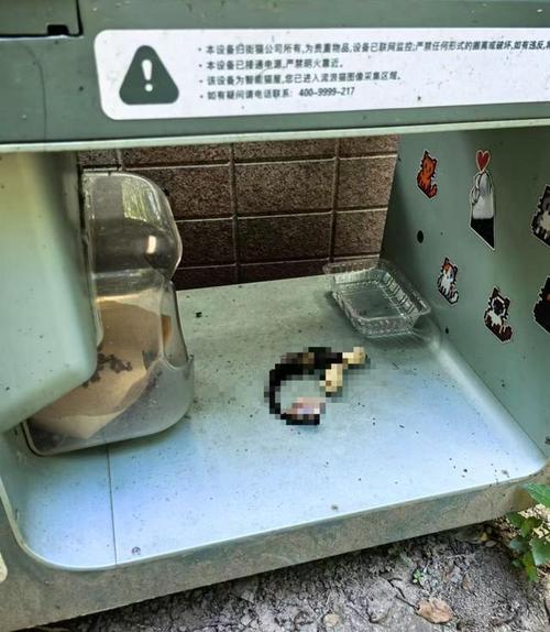 多方回应上海一小区猫屋现猫尸残骸