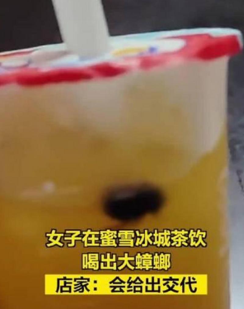 奶茶有蟑螂 蜜雪冰城被要求赔1000元