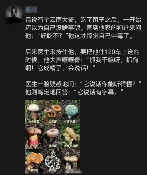 “越野跑大神”误食毒蘑菇身亡