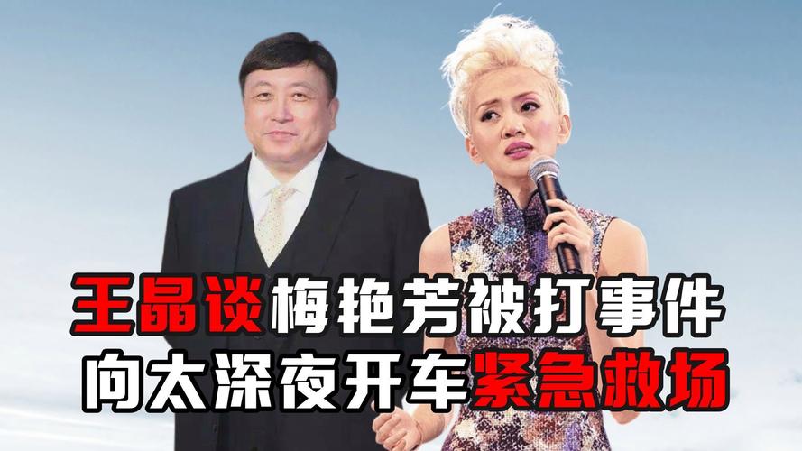 向太谈2次从黑社会手上救出梅艳芳