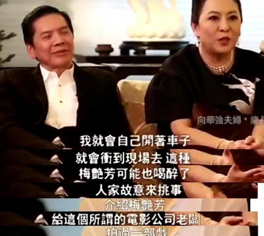 向太谈2次从黑社会手上救出梅艳芳