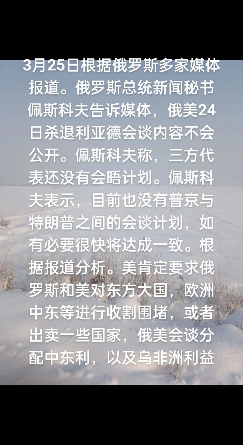 美国媒体质疑俄美会晤实际意义