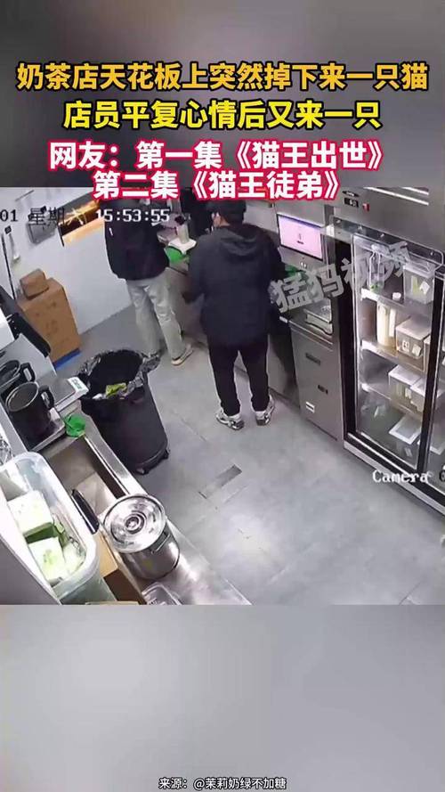 奶茶店天花板掉落致1名店员身亡
