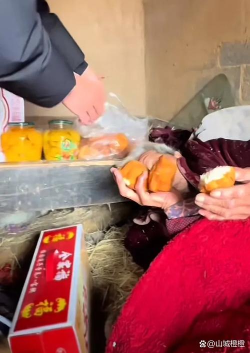 73岁老人扛80斤特产辗转千里看儿孙