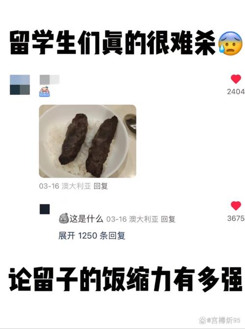 印度女留学生吐槽韩餐肉太多