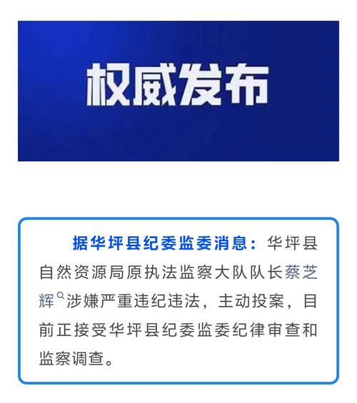 主动投案的谭队长 牵出系统性腐败