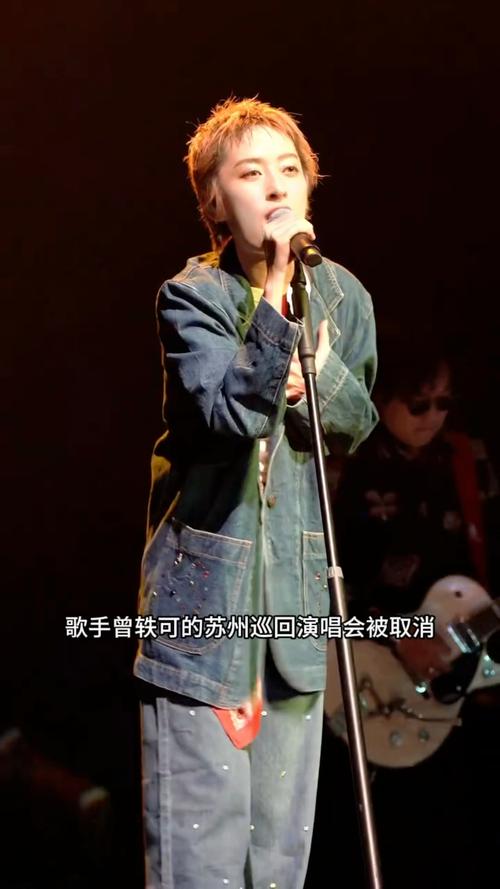 曾轶可演唱会取消 主办方：回不了本