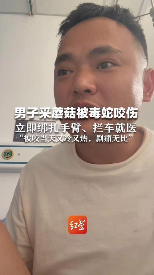 男子讲述被毒蛇咬伤拦车自救经历