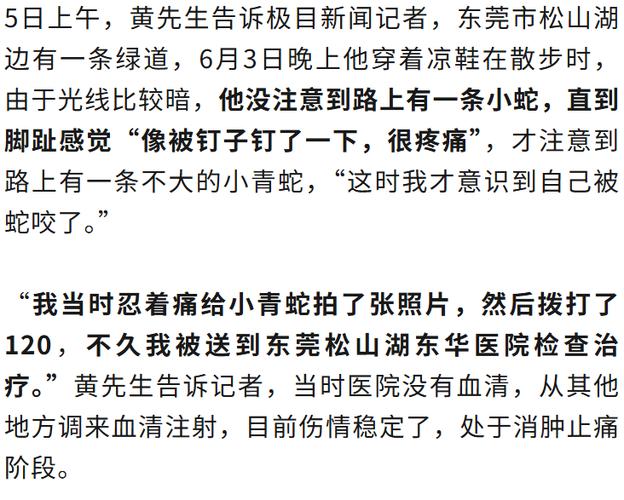 男子讲述被毒蛇咬伤拦车自救经历