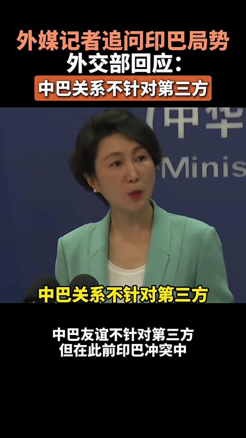 外交部：中巴关系不受第三方影响