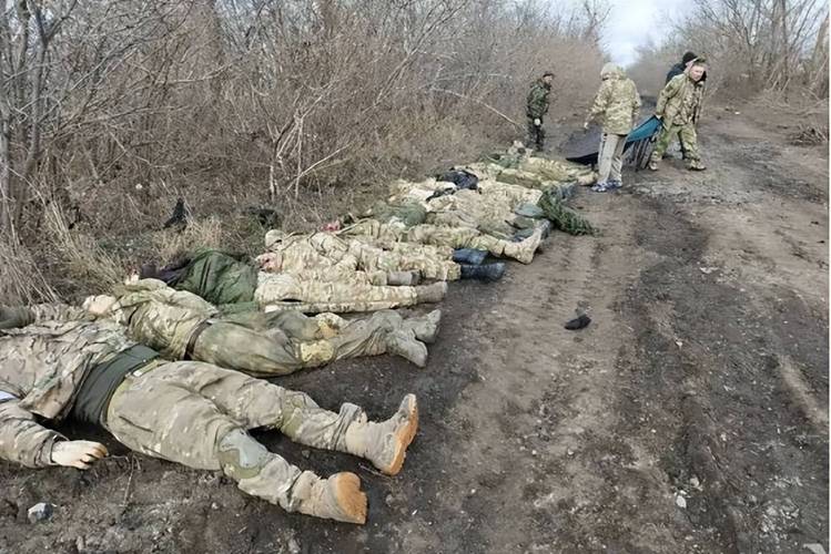乌方称1000名阵亡士兵遗体被运回乌