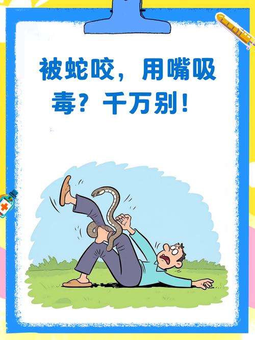 被蛇咬可以用嘴吸出毒血吗？