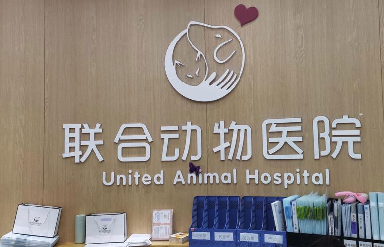 北京一动物医院1年接诊超10万