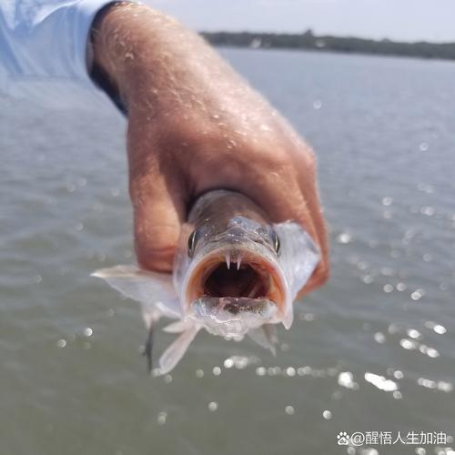 男子钓了一条大鱼 妻子情绪价值拉满