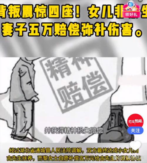 两子非亲生案前妻同意精神赔偿