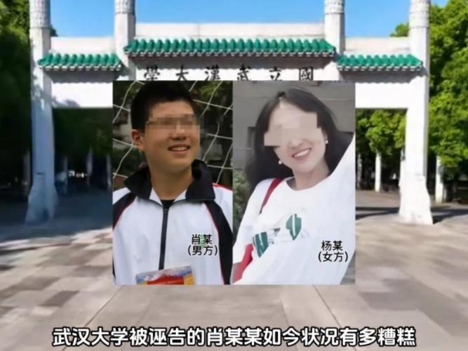 武汉大学肖同学的处罚公告被隐藏