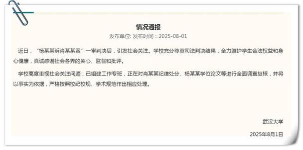 武汉大学肖同学的处罚公告被隐藏